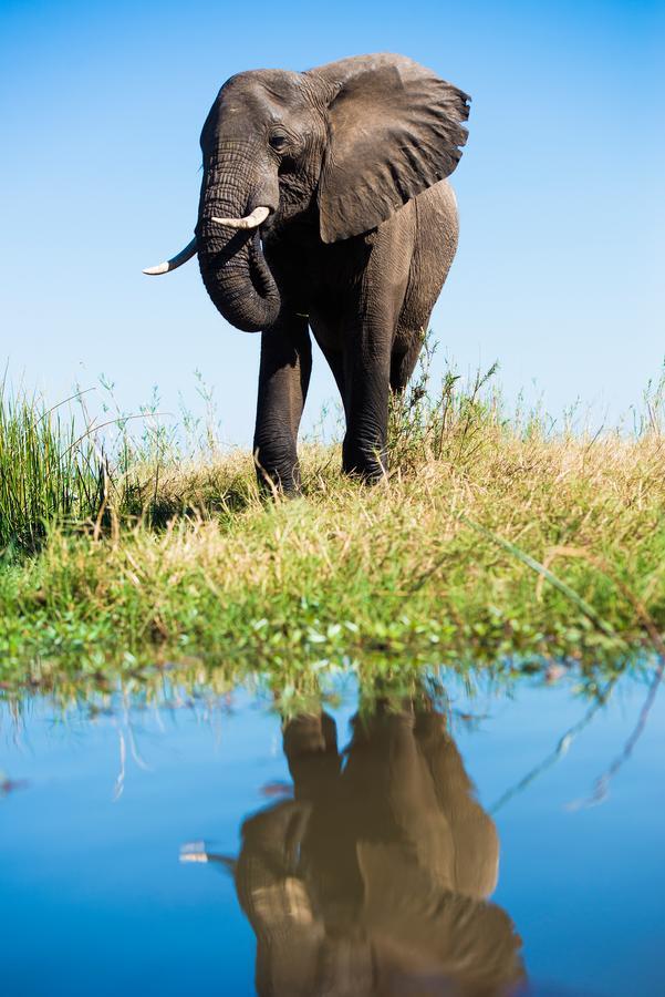 Royal Zambezi Lodge Mafuta Luaran gambar
